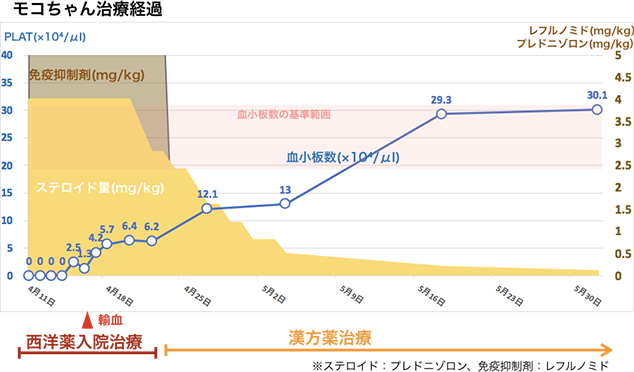 免疫介在性溶血性貧血の治療