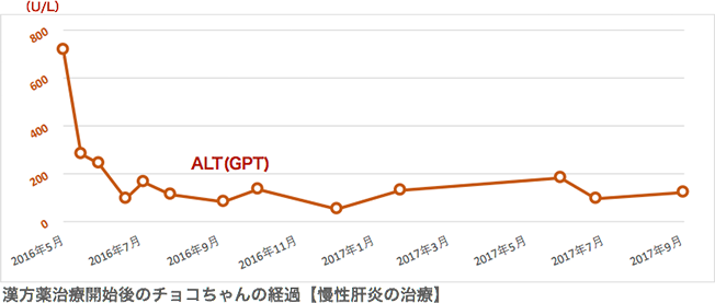 慢性肝炎の治療例