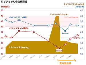 ロッタちゃん　〜免疫介在性溶血性貧血の治療