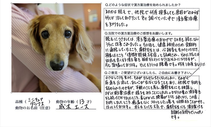 患者様の声画像