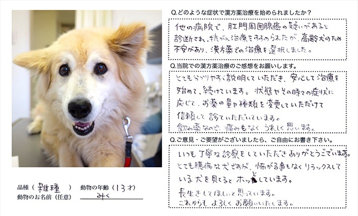 患者様の声画像