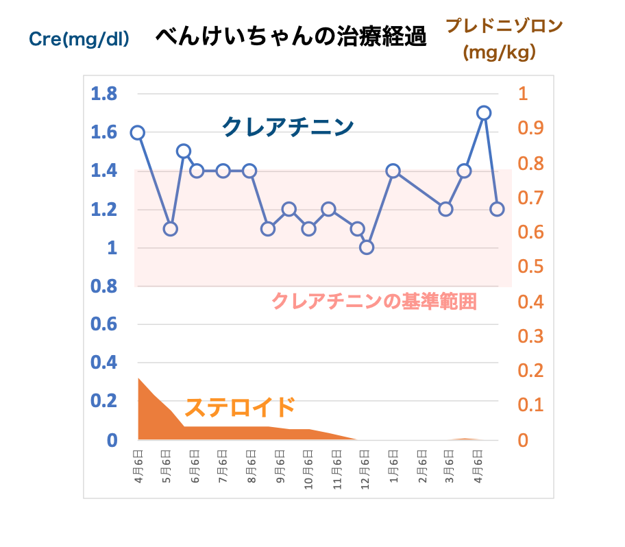 腎不全で漢方薬治療しているべんけいちゃん