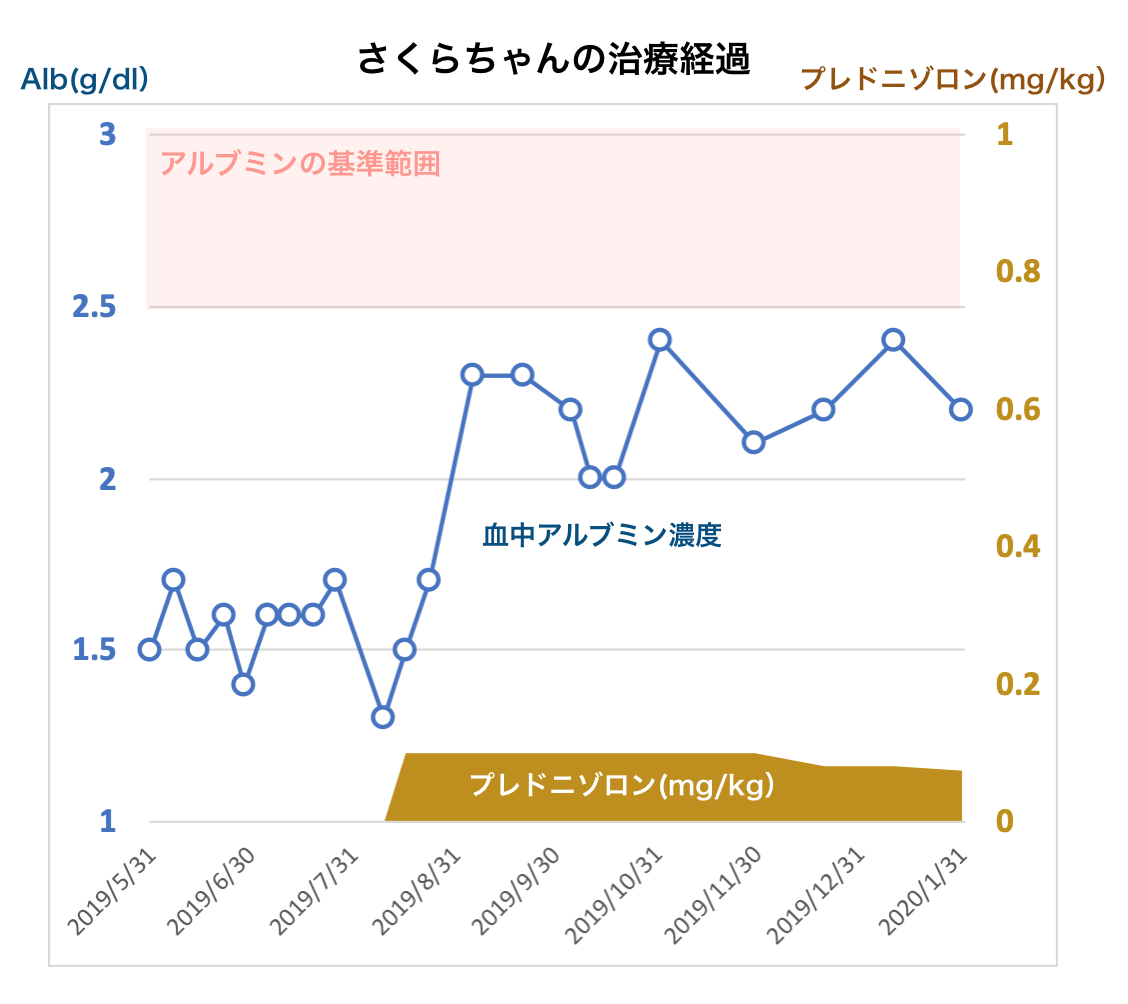 IBDで治療しているさくらちゃんの経過