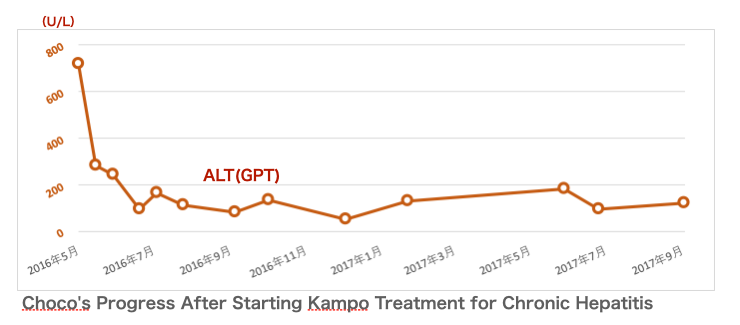 慢性肝炎の治療例