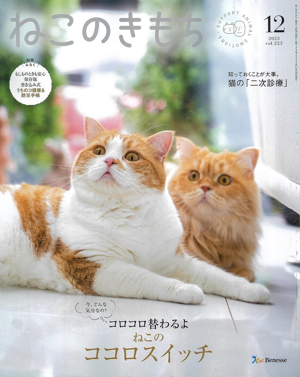 ねこのきもち2023年12月号　Gift for my cat Selection!