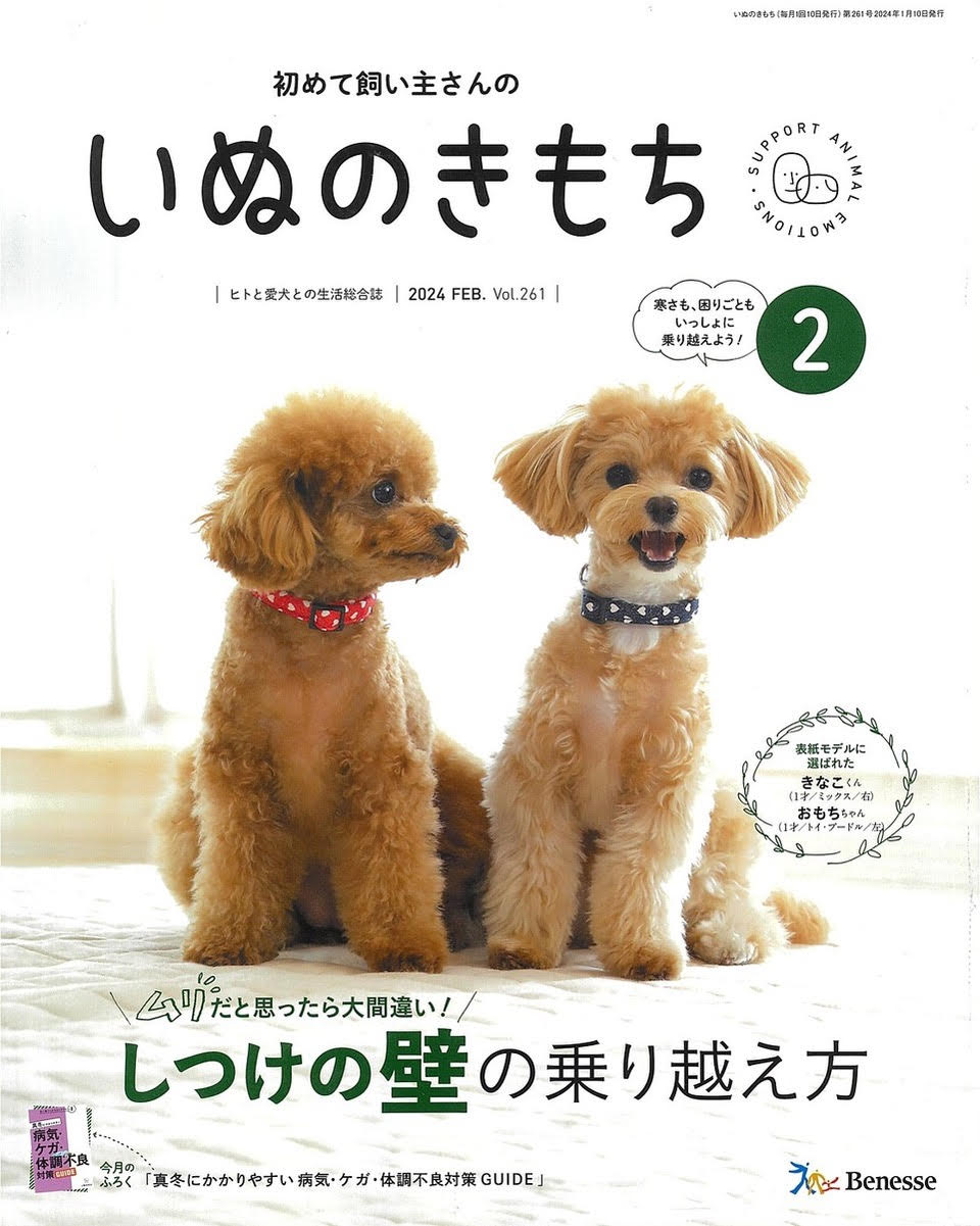 いぬのきもち2024年2月号　わんちゃんLIFEお助け隊