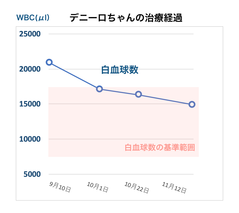 犬の慢性白血病で漢方薬治療しているデニーロちゃんの治療経過