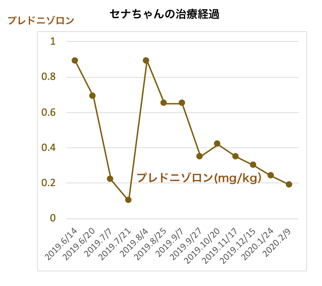 脳炎（てんかん発作）で漢方薬治療しているセナちゃん