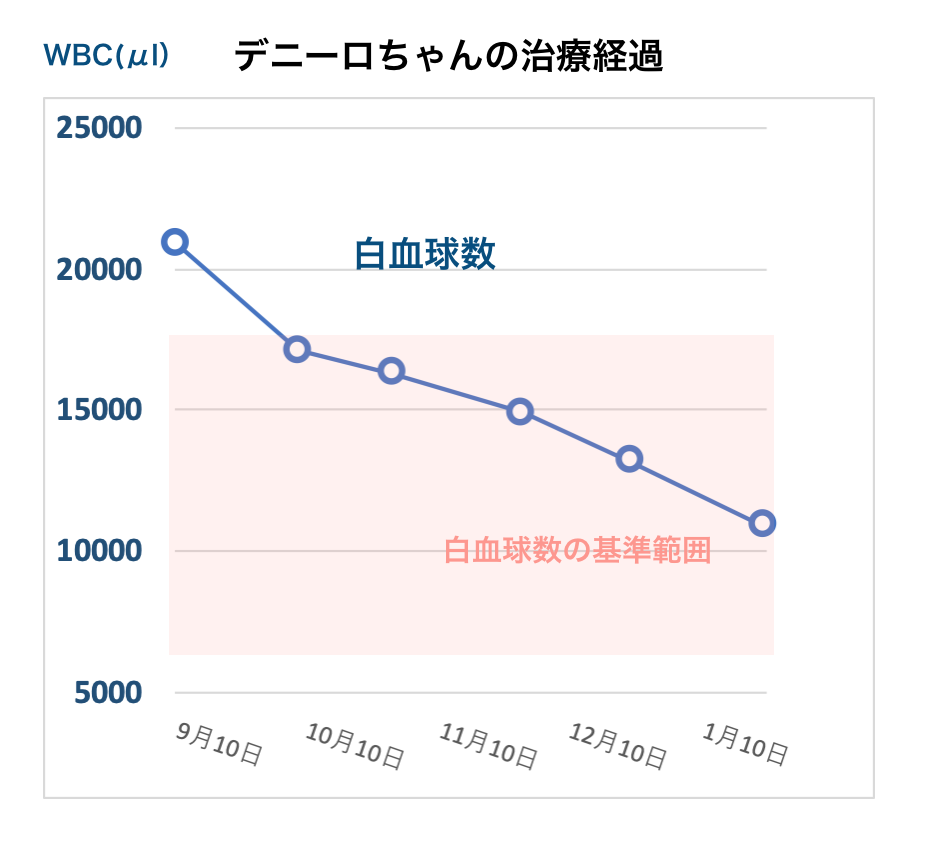 リンパ急性白血病で治療しているデニーロちゃん