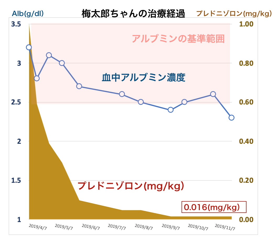 リンパ管拡張症で漢方薬治療している梅太郎ちゃんお治療経過