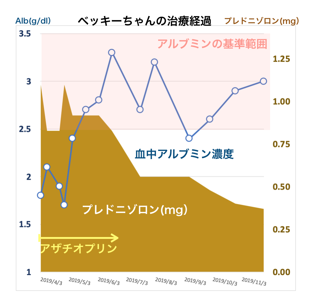 犬のIBDで漢方薬治療しているベッキーちゃんの治療経過