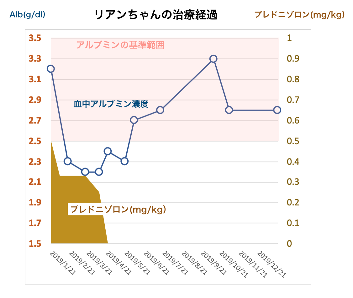 低アルブミン血症のリアンちゃんの経過