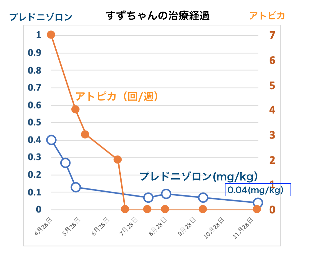 犬の免疫介在性口内炎で漢方薬治療しているすずちゃんの治療経過です。