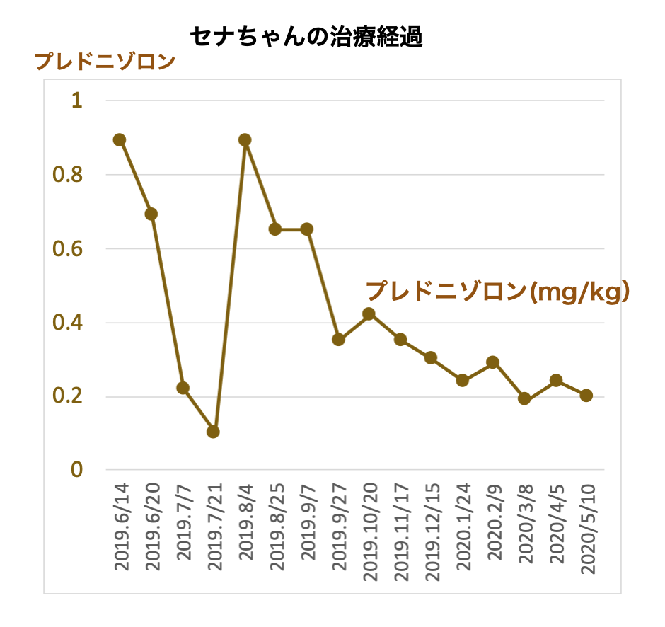 ペキニーズの脳炎で漢方薬治療しているセナちゃん