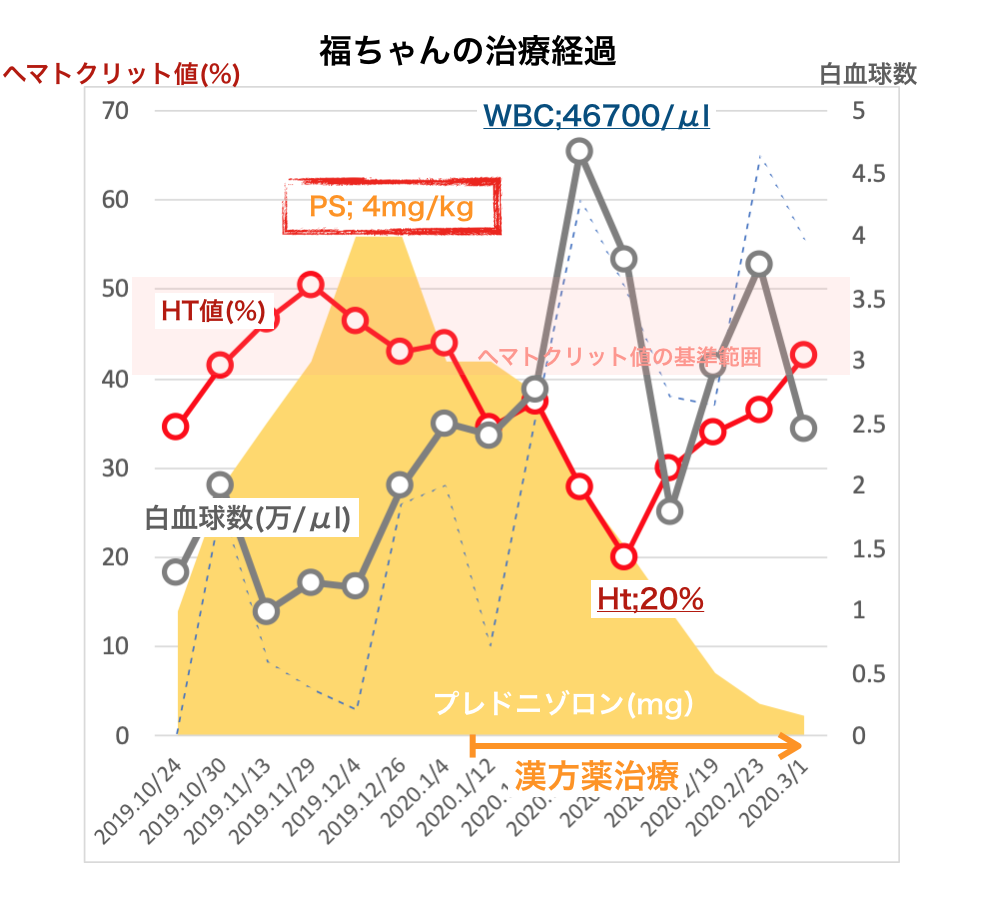 多量のステロイド投与による体や免疫系への影響